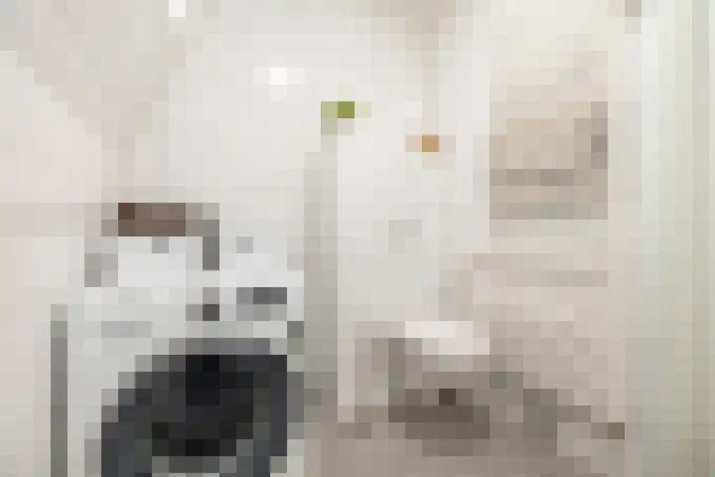 Jaltadaheerd 225 Groningen thumbnail 31
