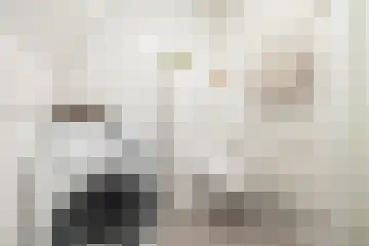 Jaltadaheerd 225 Groningen thumbnail 31