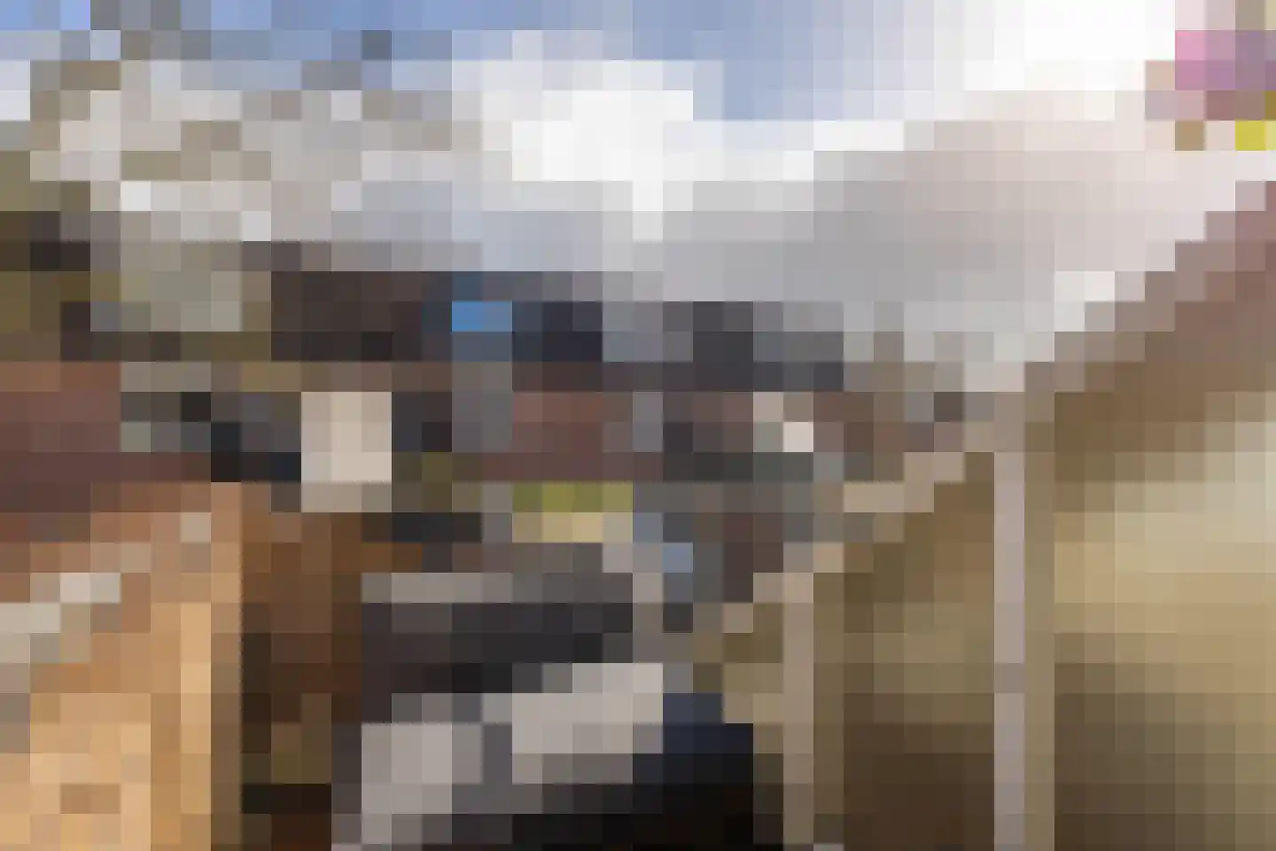 Jaltadaheerd 225 Groningen thumbnail 36