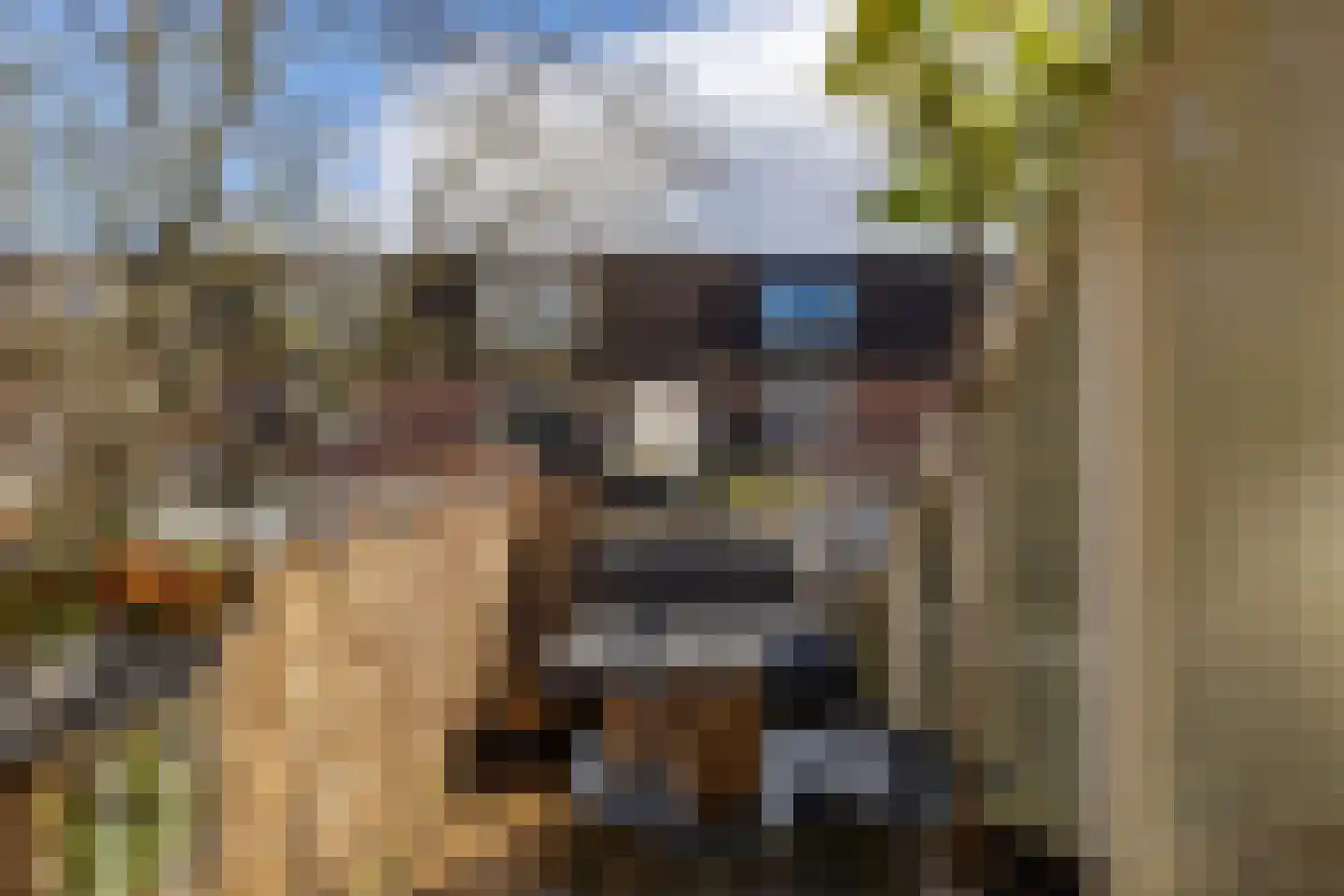 Jaltadaheerd 225 Groningen thumbnail 5