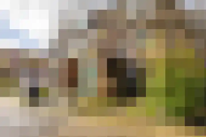 Jaltadaheerd 225 Groningen thumbnail 7