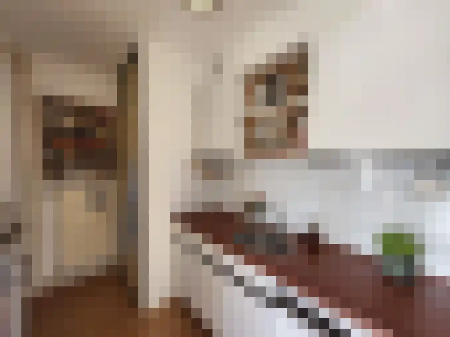 Jaltadaheerd 30 Groningen thumbnail 11