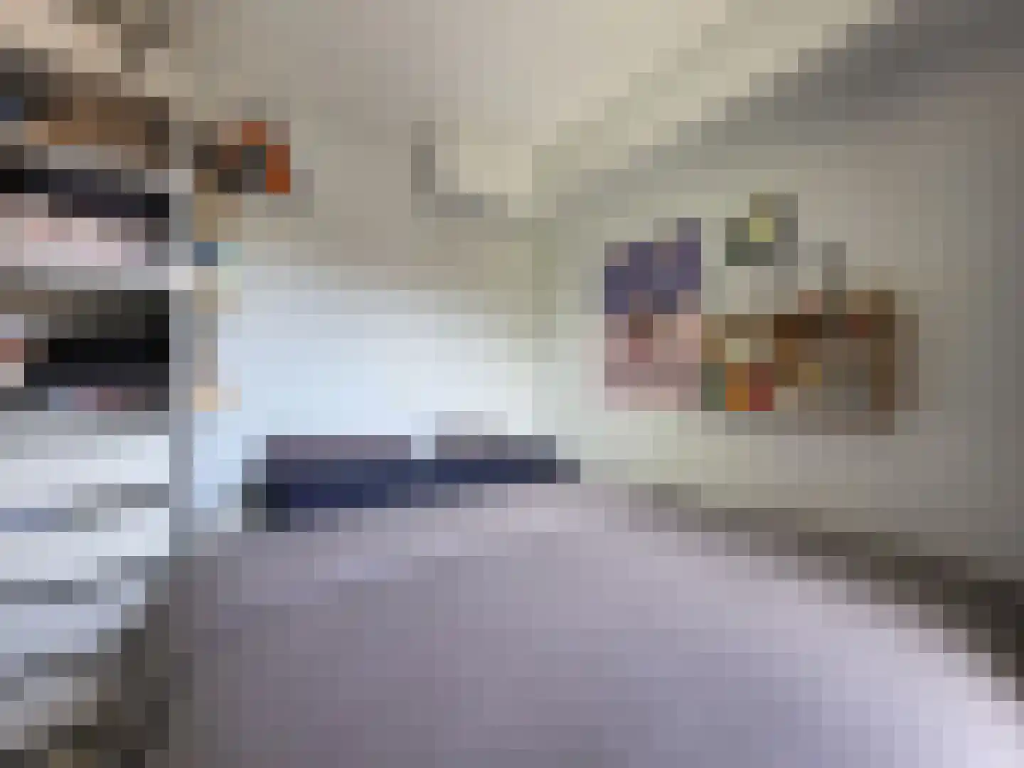 Jaltadaheerd 30 Groningen thumbnail 13