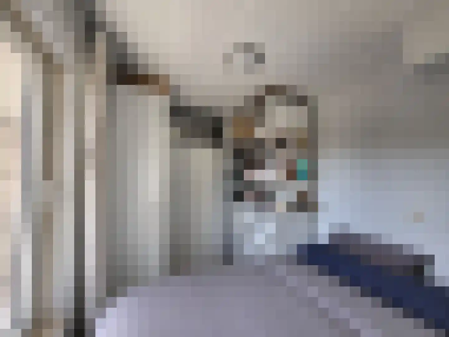 Jaltadaheerd 30 Groningen thumbnail 14