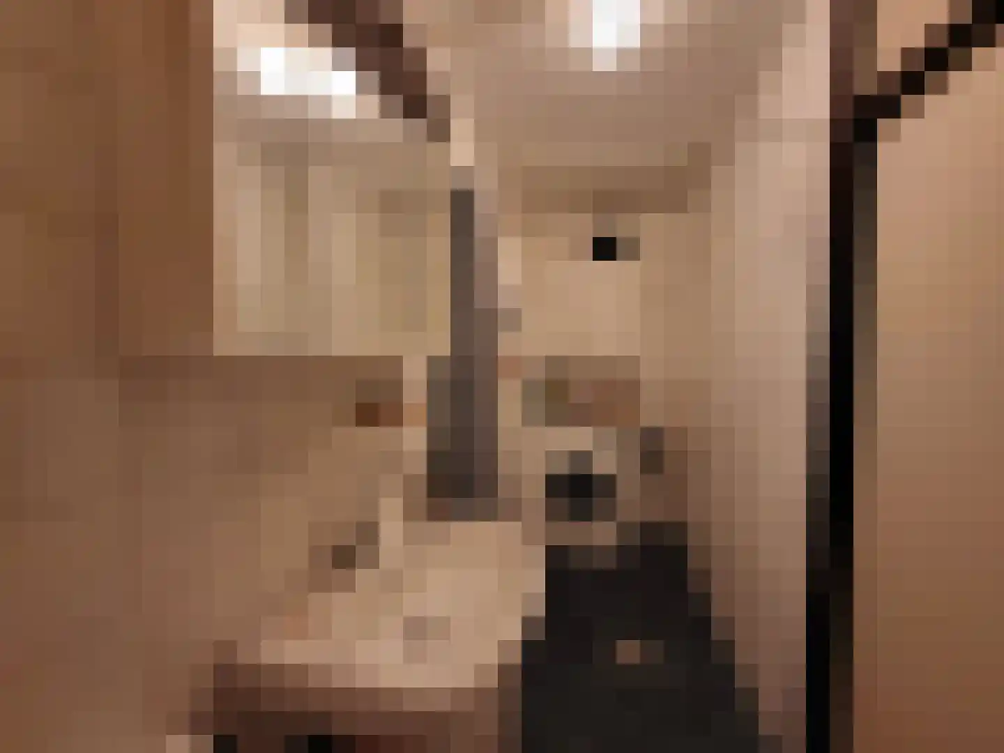 Jaltadaheerd 30 Groningen thumbnail 15