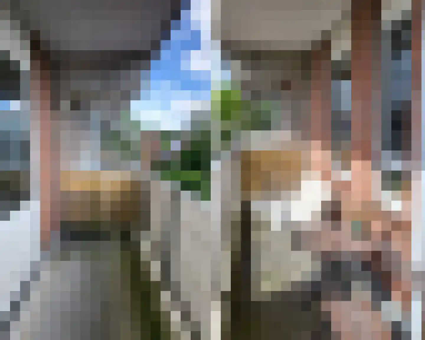 Jaltadaheerd 30 Groningen thumbnail 17