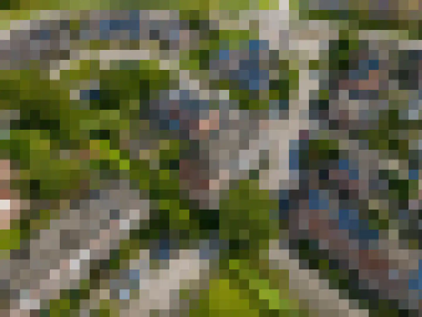 Jaltadaheerd 30 Groningen thumbnail 20