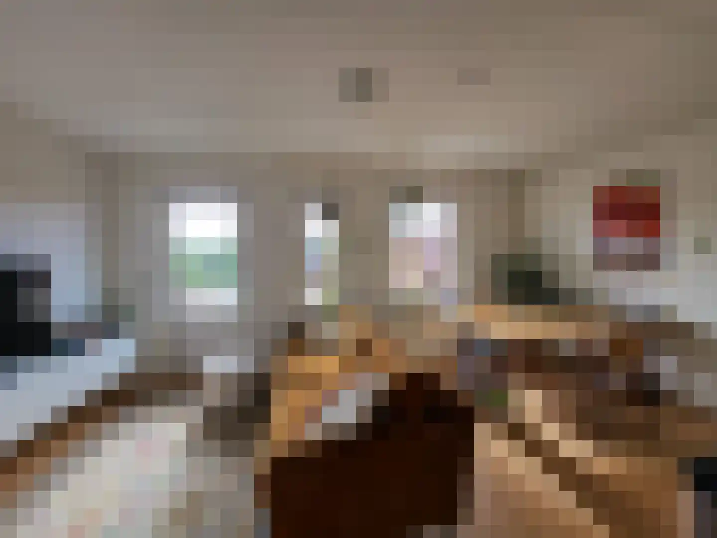 Jaltadaheerd 30 Groningen thumbnail 4