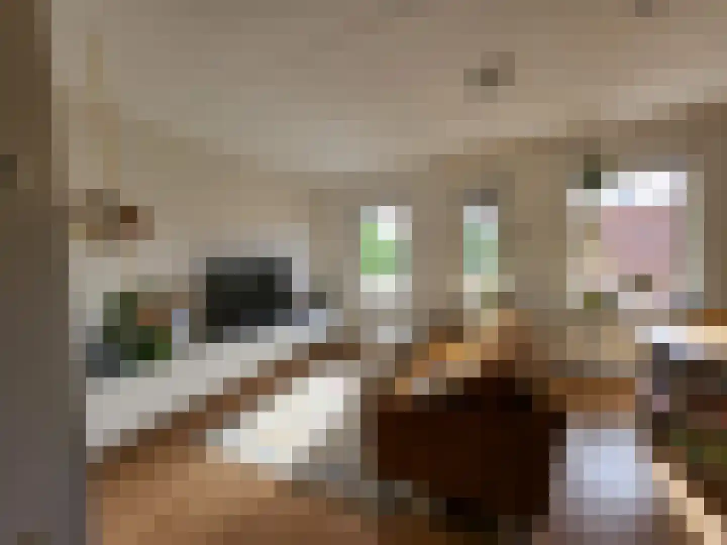Jaltadaheerd 30 Groningen thumbnail 5