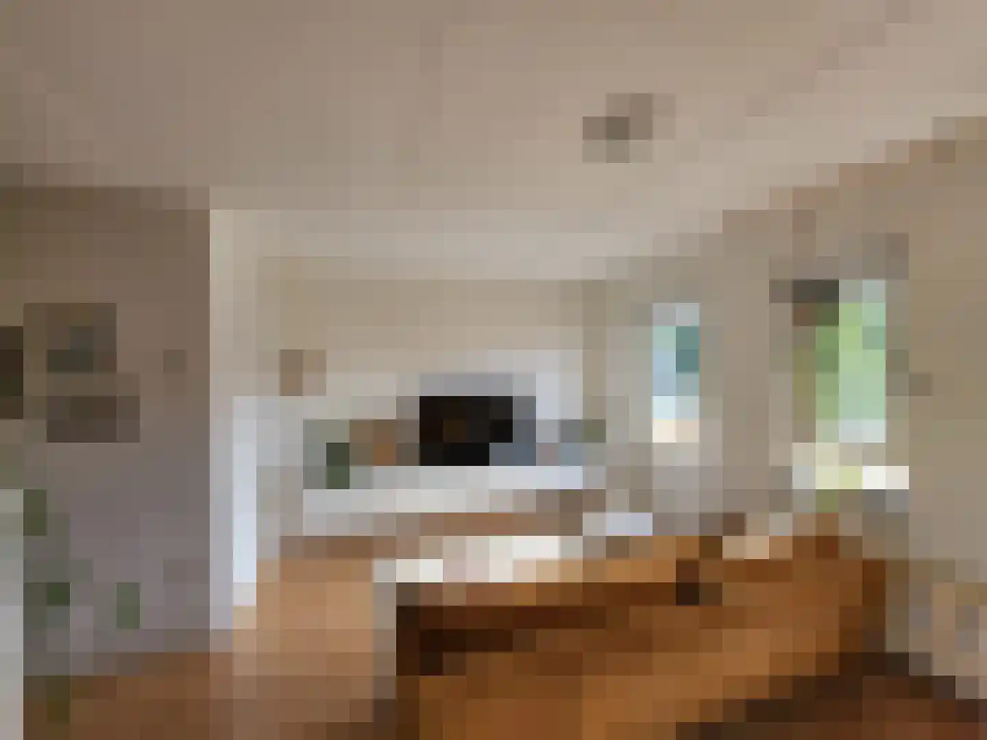 Jaltadaheerd 30 Groningen thumbnail 6