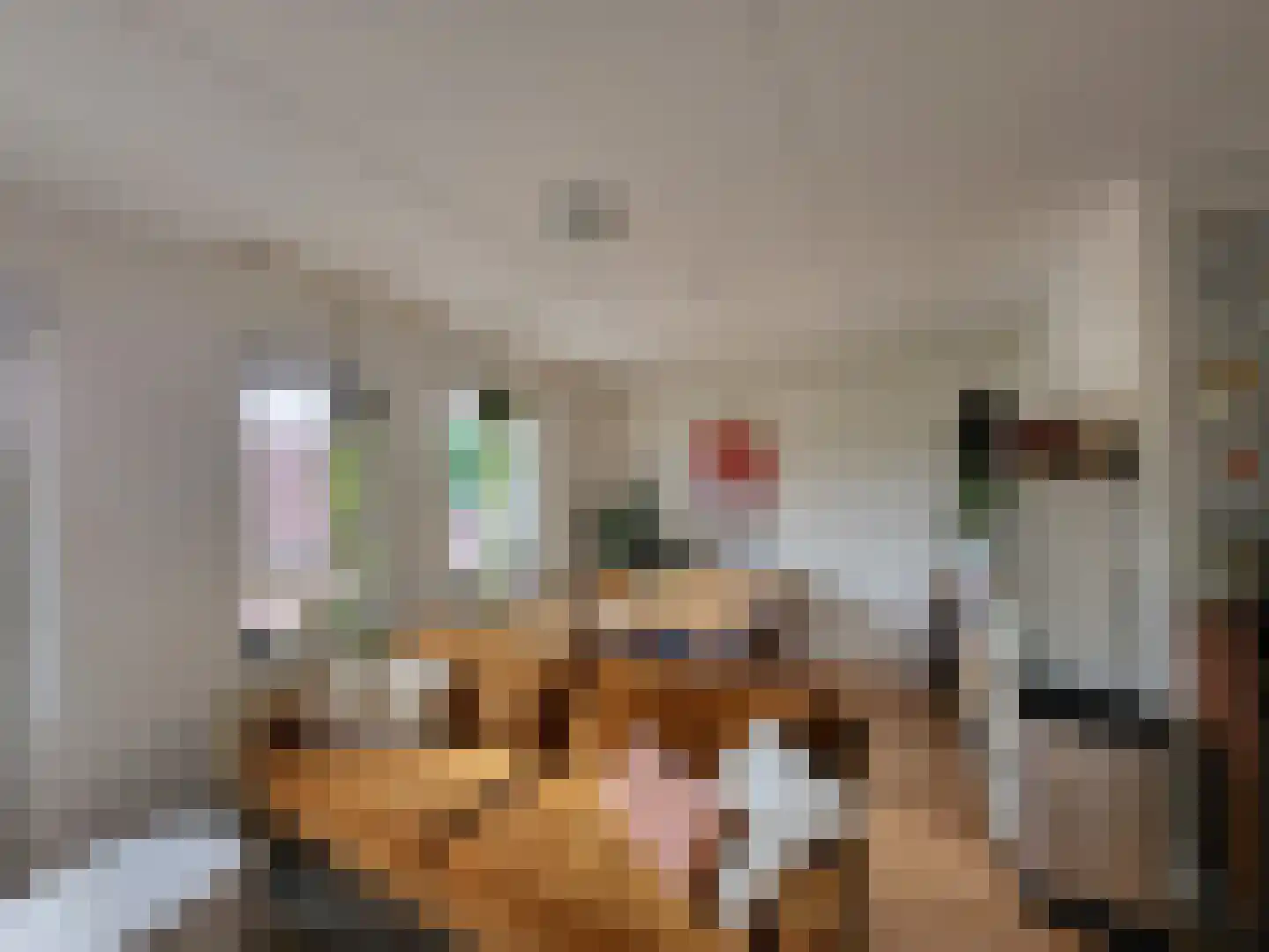 Jaltadaheerd 30 Groningen thumbnail 7