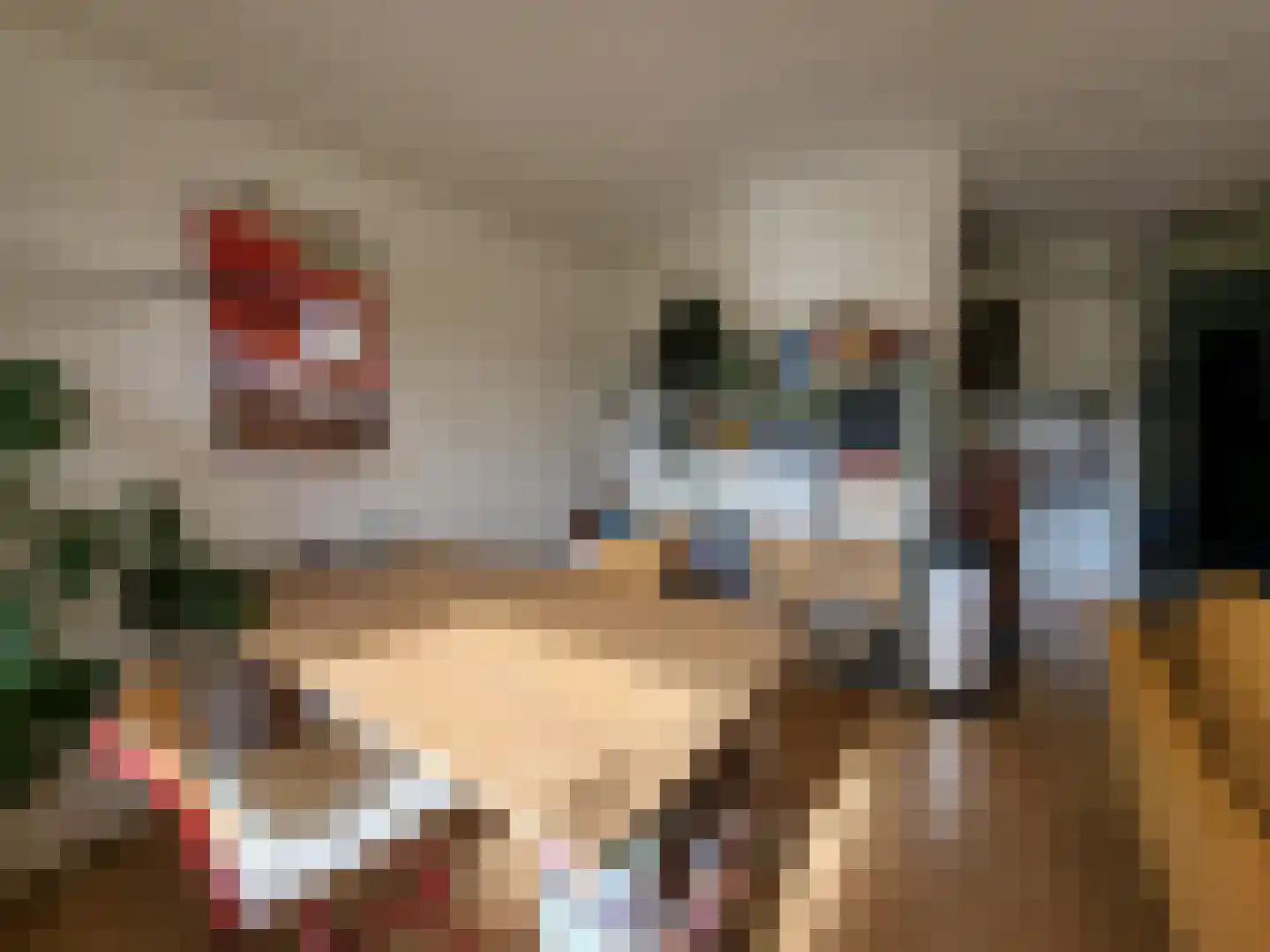 Jaltadaheerd 30 Groningen thumbnail 8