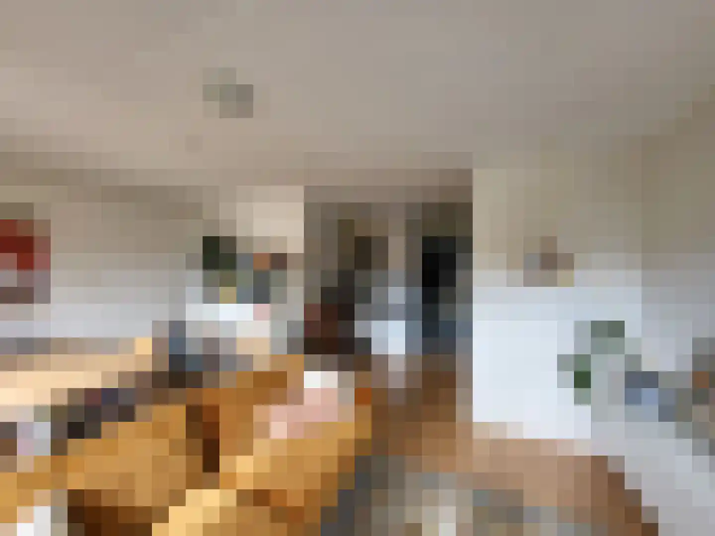 Jaltadaheerd 30 Groningen thumbnail 9