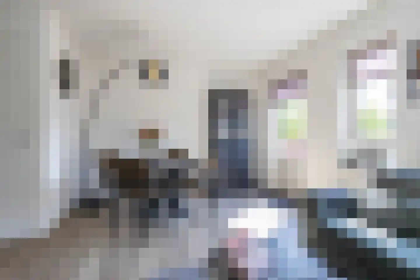 Jaltadaheerd 41 Groningen thumbnail 12