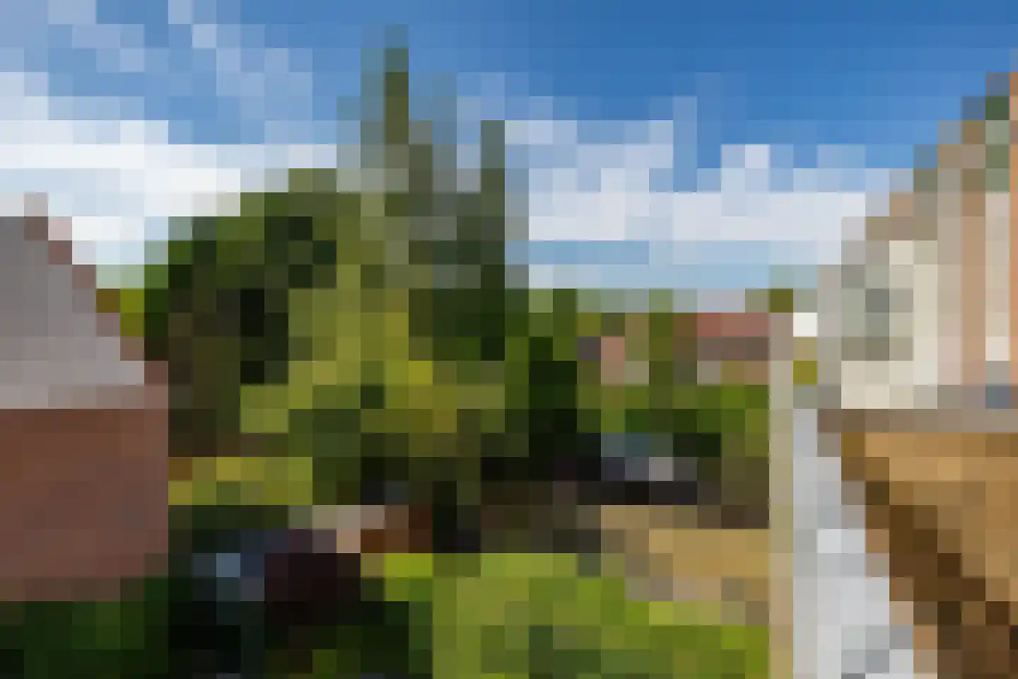 Jaltadaheerd 41 Groningen thumbnail 14