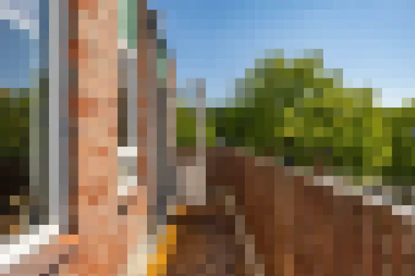 Jaltadaheerd 41 Groningen thumbnail 15