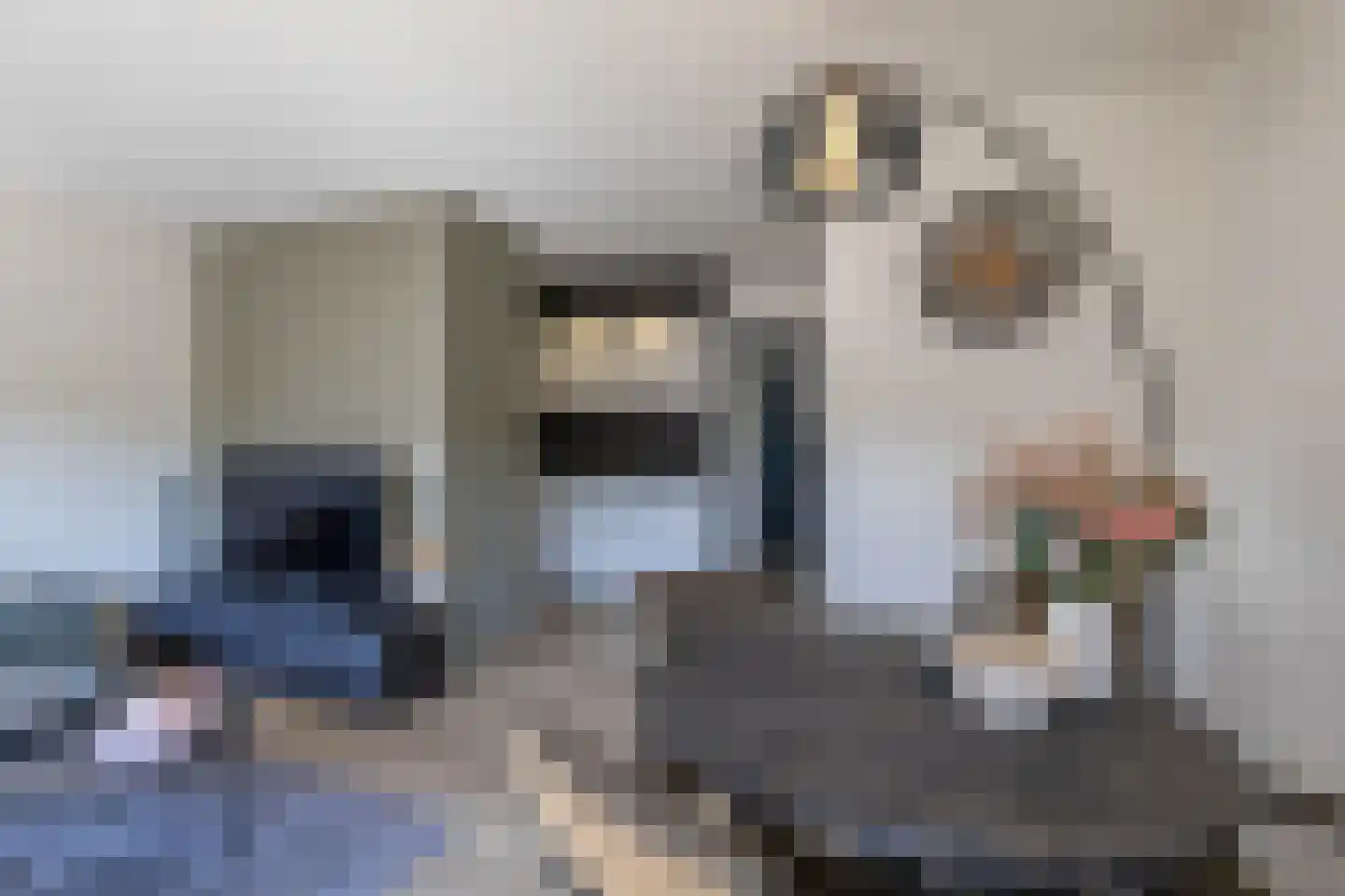 Jaltadaheerd 41 Groningen thumbnail 16
