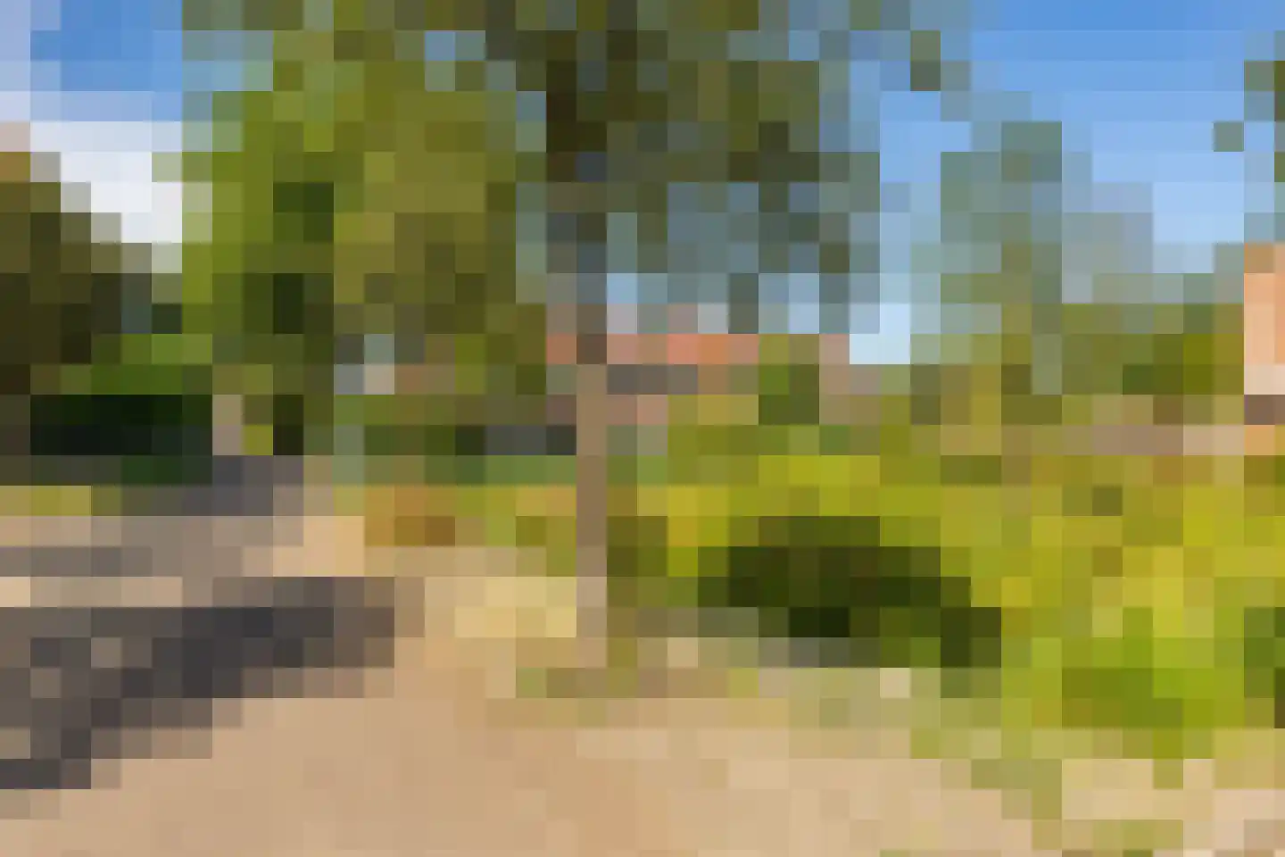 Jaltadaheerd 41 Groningen thumbnail 30