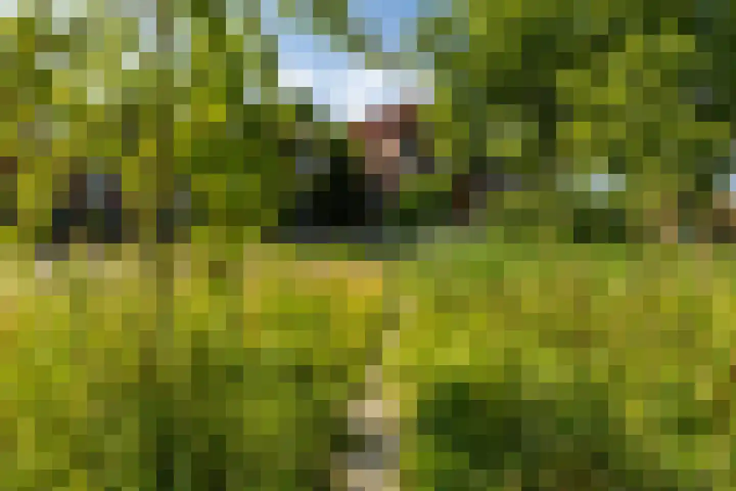 Jaltadaheerd 41 Groningen thumbnail 31