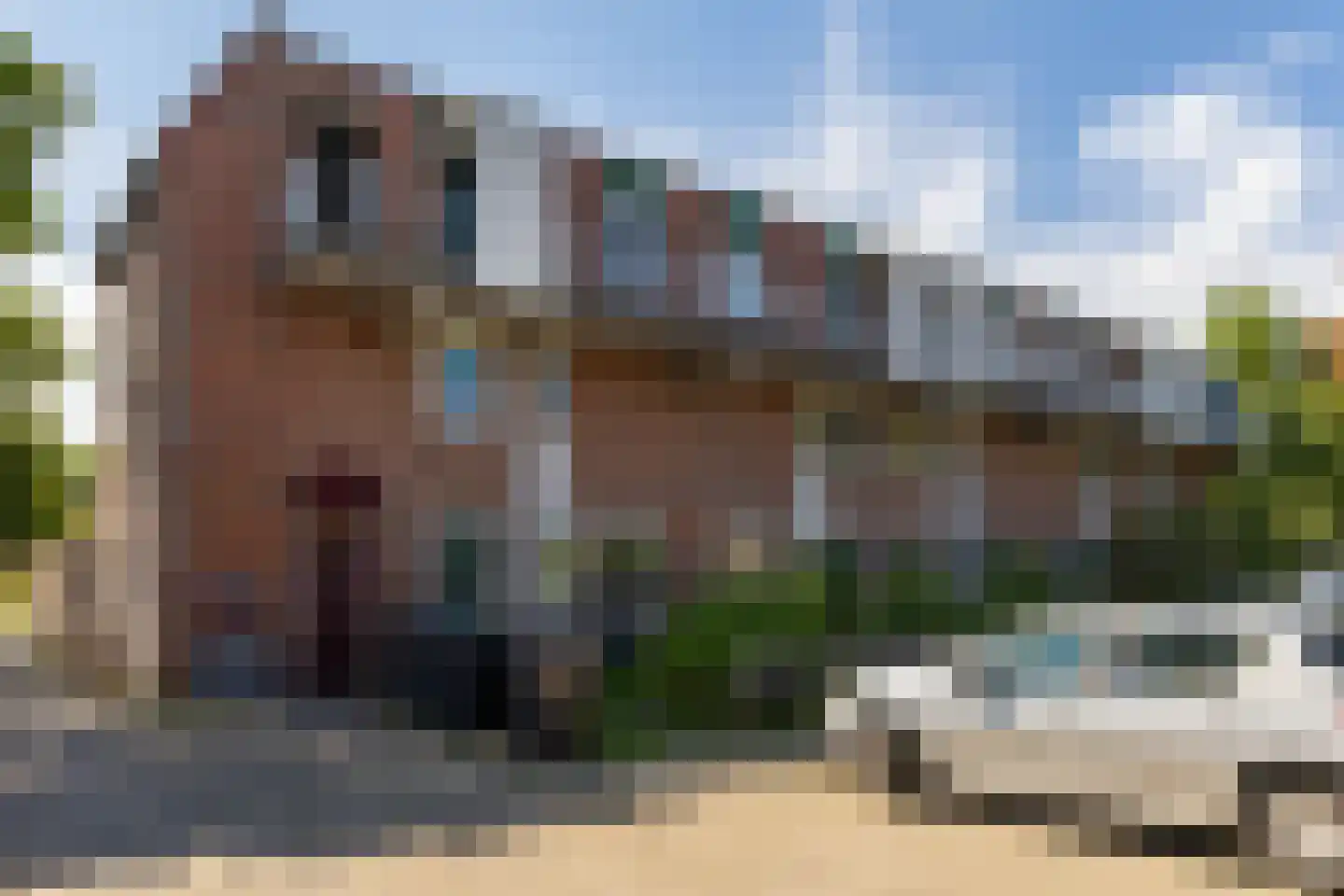 Jaltadaheerd 41 Groningen thumbnail 5