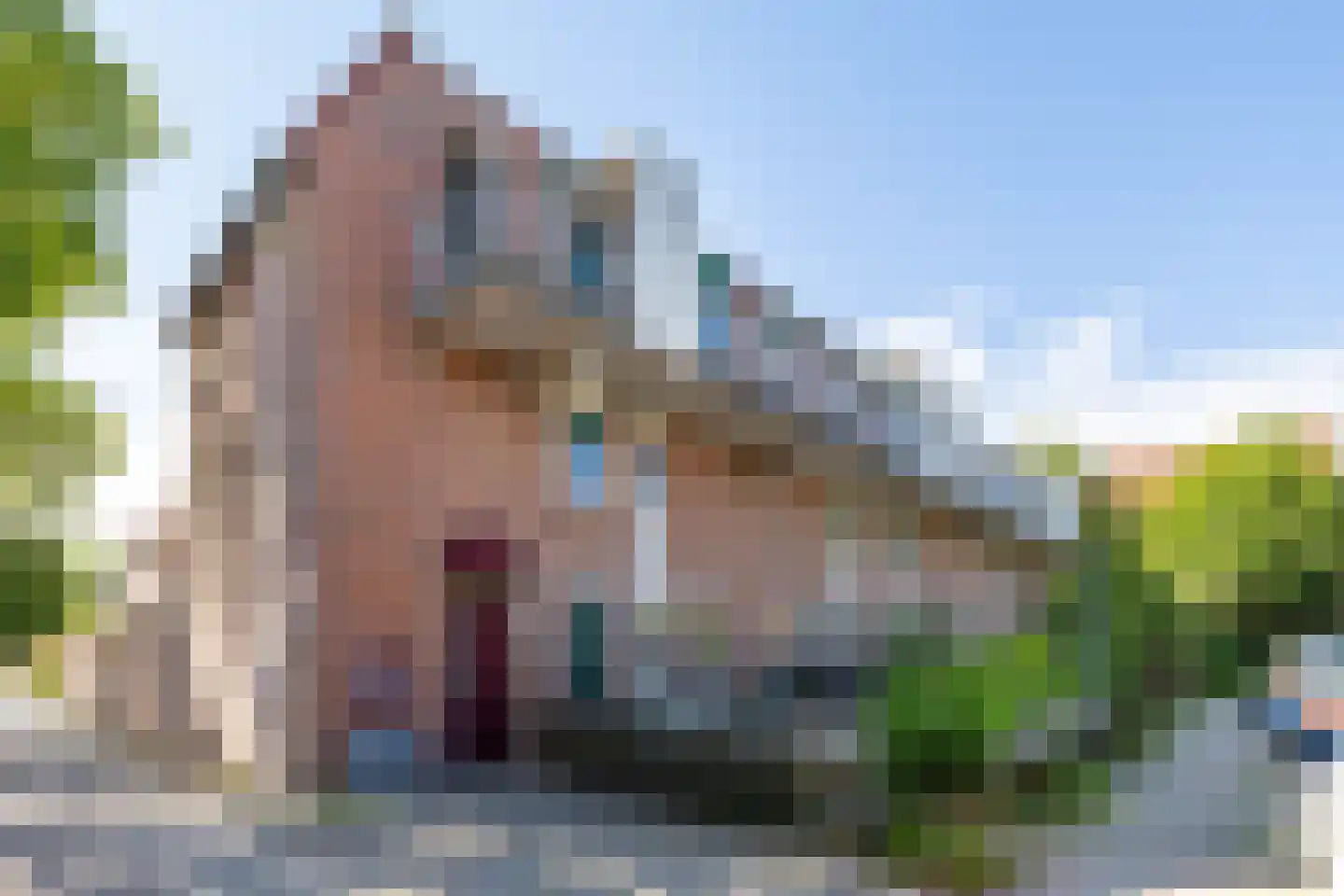Jaltadaheerd 41 Groningen thumbnail 7