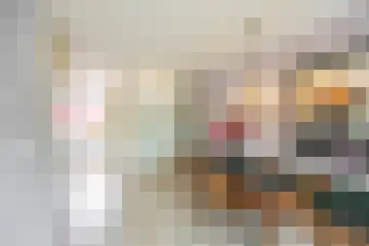 Jaltadaheerd 61 Groningen thumbnail 11