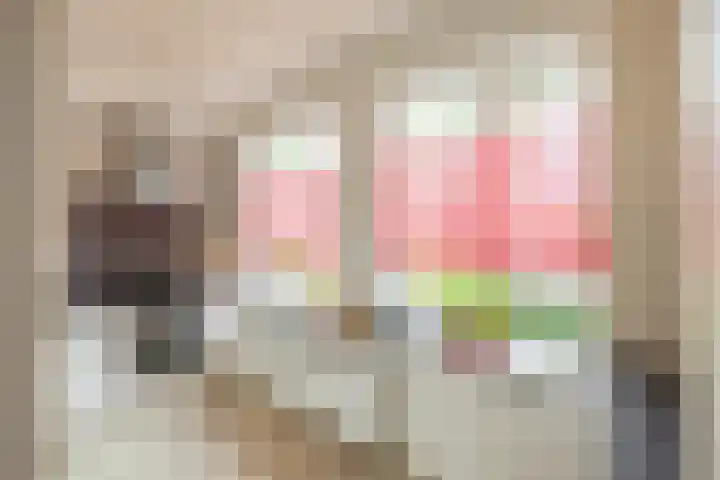 Jaltadaheerd 61 Groningen thumbnail 12