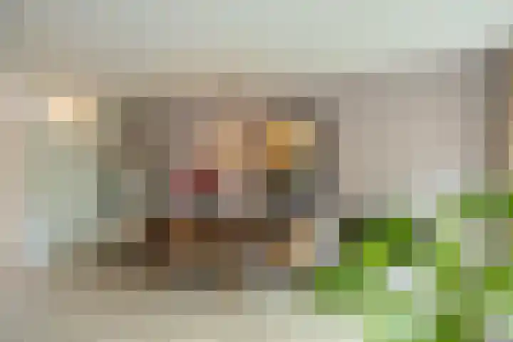 Jaltadaheerd 61 Groningen thumbnail 17
