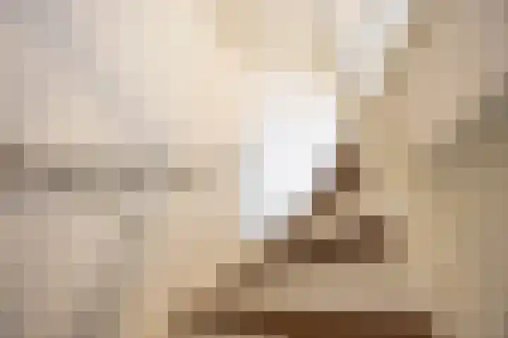 Jaltadaheerd 61 Groningen thumbnail 21