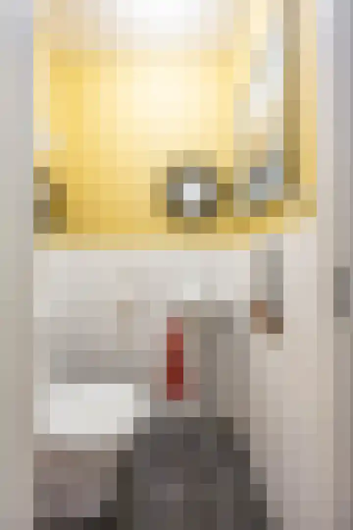 Jaltadaheerd 61 Groningen thumbnail 22