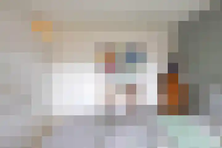 Jaltadaheerd 61 Groningen thumbnail 25