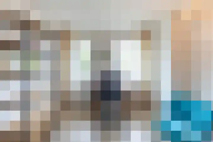 Jaltadaheerd 61 Groningen thumbnail 26