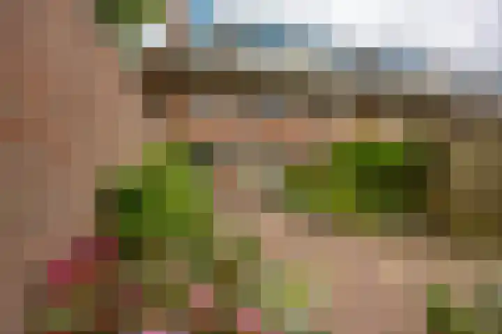 Jaltadaheerd 61 Groningen thumbnail 33