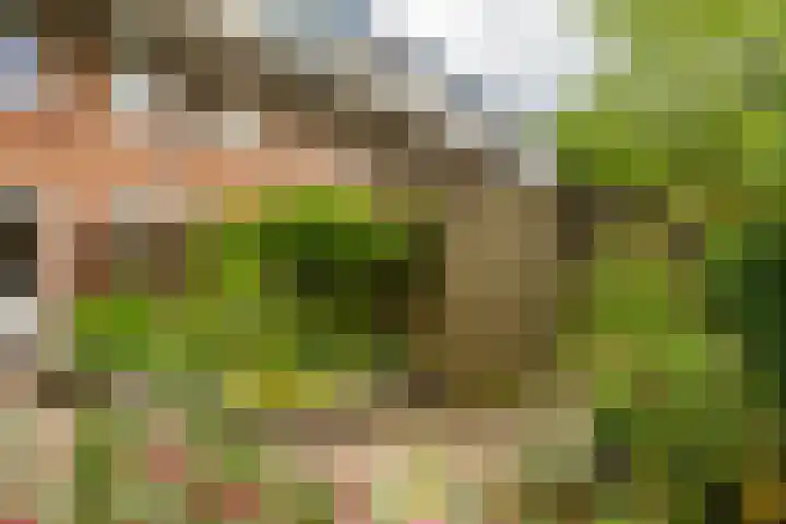 Jaltadaheerd 61 Groningen thumbnail 35