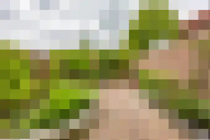 Jaltadaheerd 61 Groningen thumbnail 36