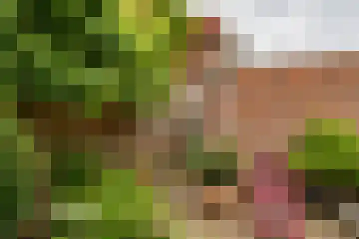 Jaltadaheerd 61 Groningen thumbnail 37