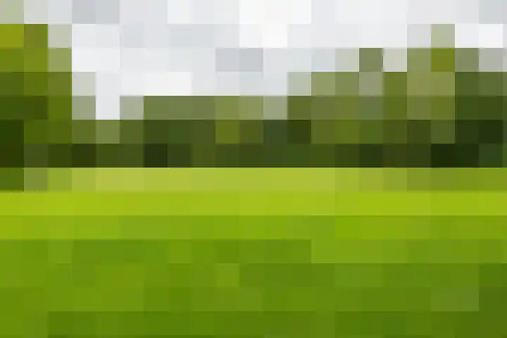 Jaltadaheerd 61 Groningen thumbnail 40