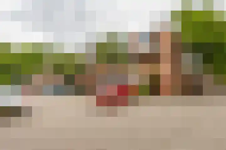 Jaltadaheerd 61 Groningen thumbnail 6