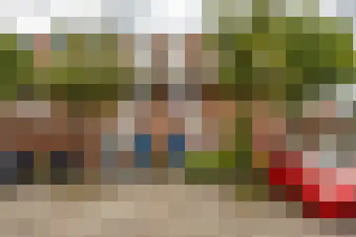 Jaltadaheerd 61 Groningen thumbnail 7