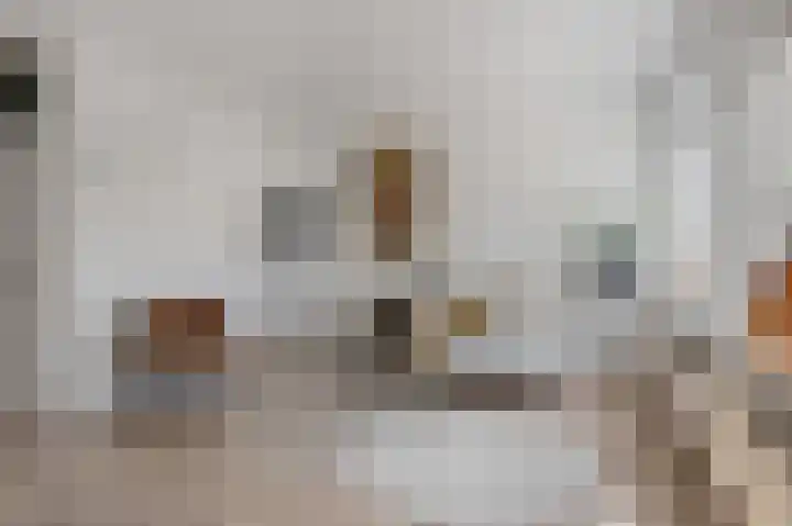 Jaltadaheerd 76 Groningen thumbnail 10