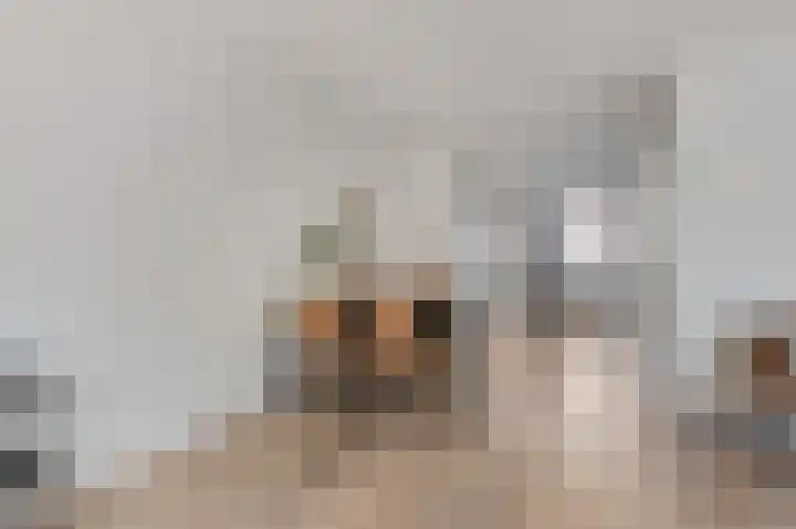 Jaltadaheerd 76 Groningen thumbnail 12