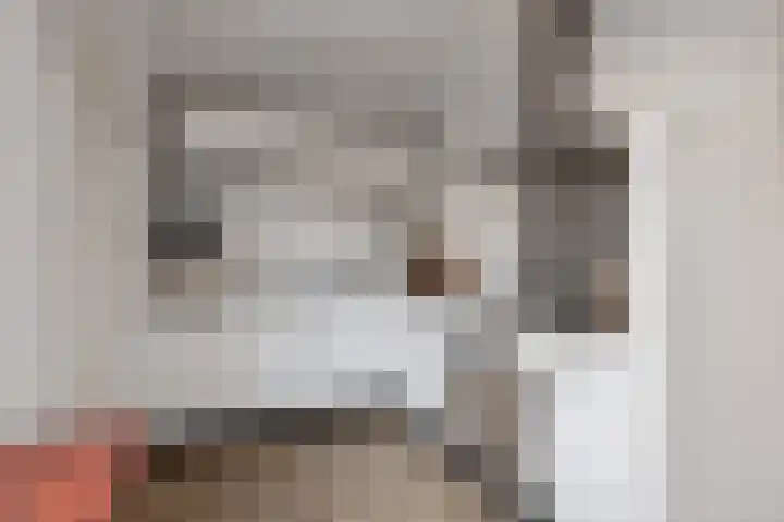 Jaltadaheerd 76 Groningen thumbnail 14
