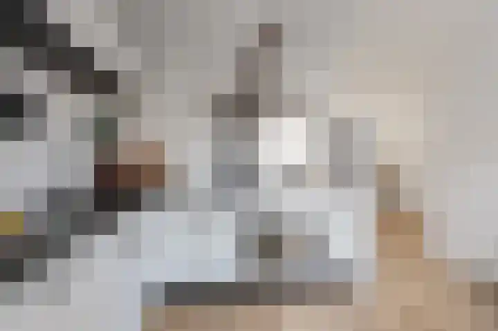 Jaltadaheerd 76 Groningen thumbnail 15