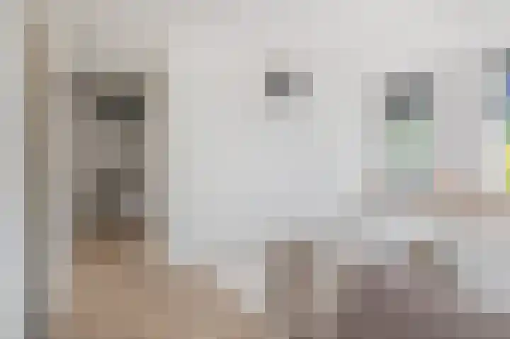 Jaltadaheerd 76 Groningen thumbnail 23