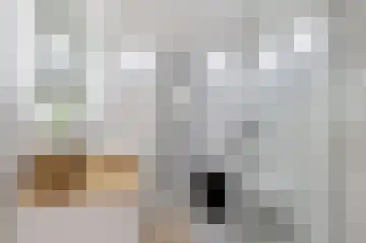 Jaltadaheerd 76 Groningen thumbnail 26