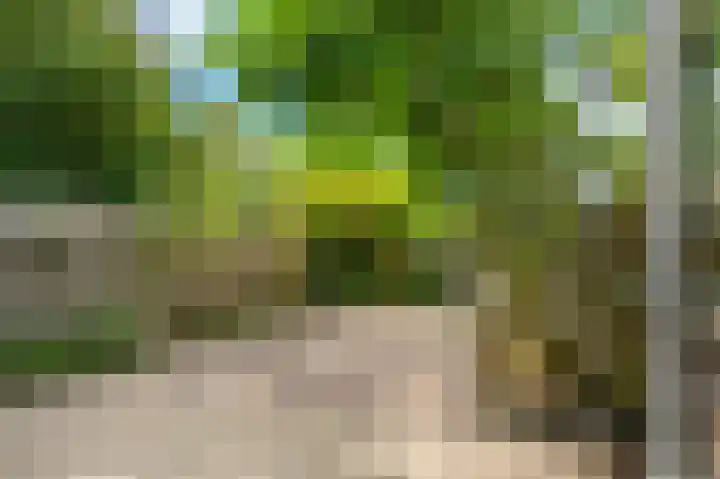 Jaltadaheerd 76 Groningen thumbnail 28