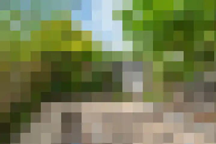 Jaltadaheerd 76 Groningen thumbnail 29