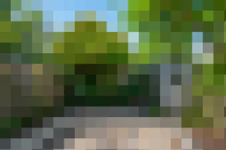 Jaltadaheerd 76 Groningen thumbnail 30