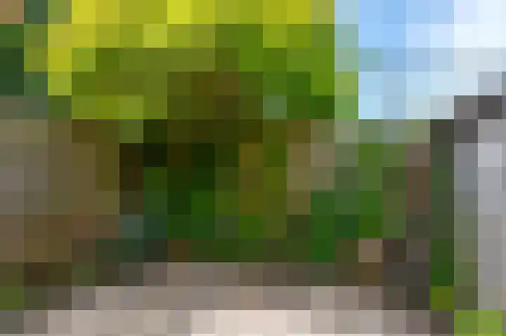 Jaltadaheerd 76 Groningen thumbnail 31