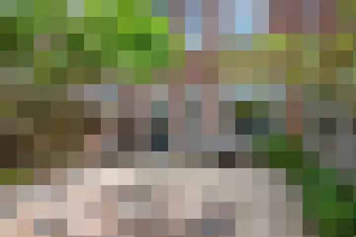 Jaltadaheerd 76 Groningen thumbnail 33